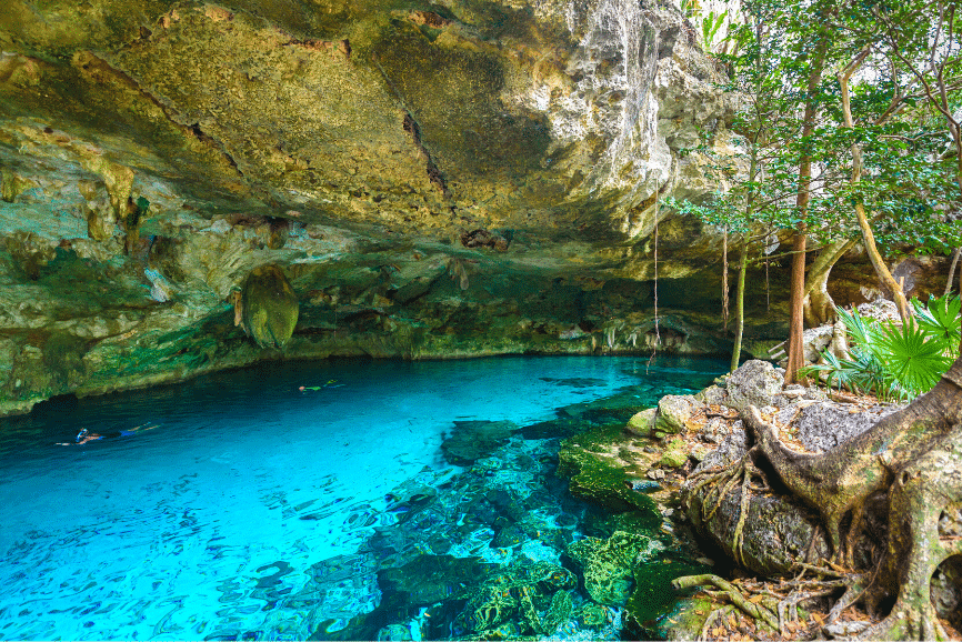 The Best Cenotes In The Yucatan Tulum To Valladolid The Ultimate List