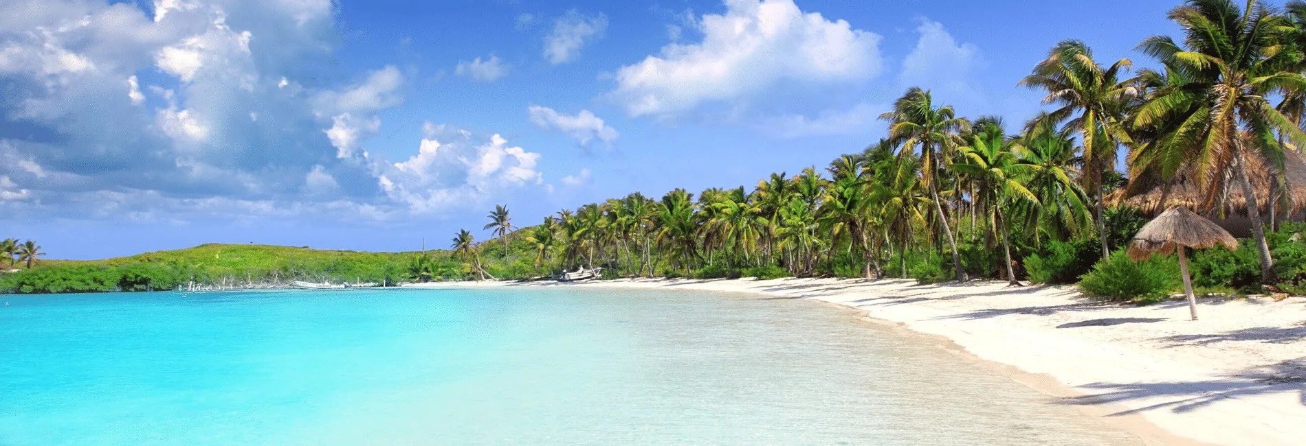 Isla Contoy visitors guid. The best things to do in isla contoy. What to do in isla contoy