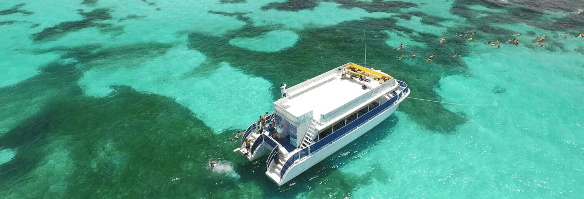 Isla Contoy visitors guid. The best things to do in isla contoy. What to do in isla contoy