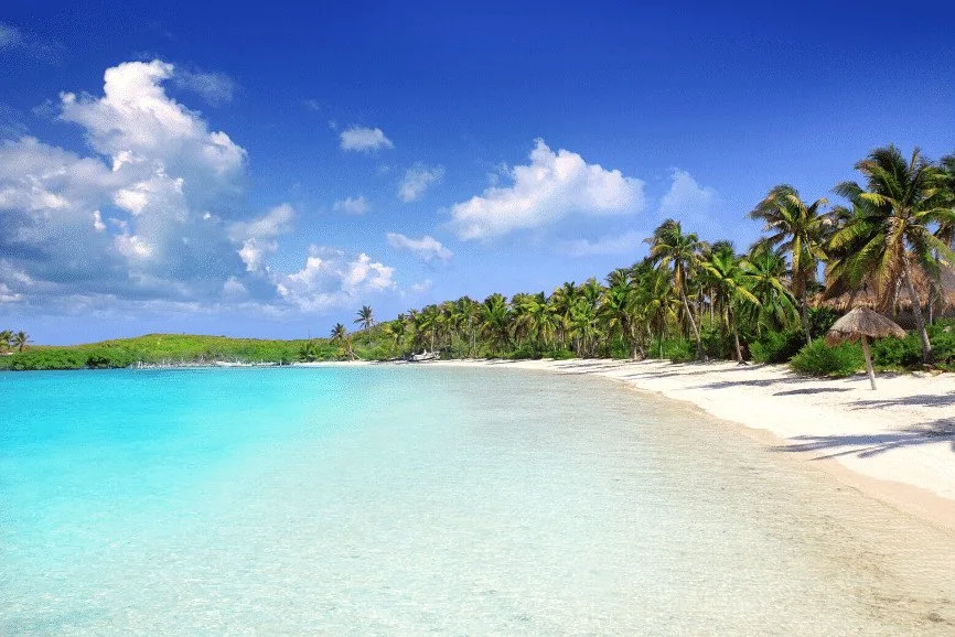 Isla Contoy visitors guid. The best things to do in isla contoy. What to do in isla contoy