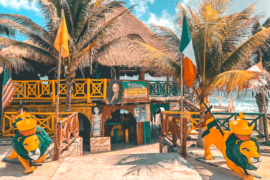 COZUMEL BEACH BAR GUIDE Sunsets & Cocktails Island Life Mexico
