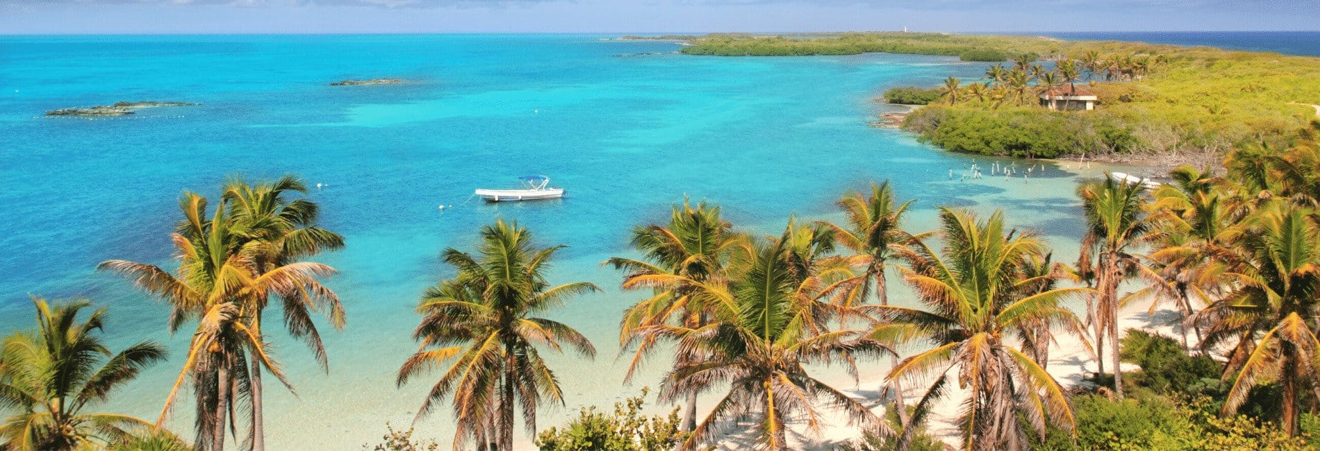 Isla Contoy Visitors Guide: The Best Things To Do In Isla Contoy