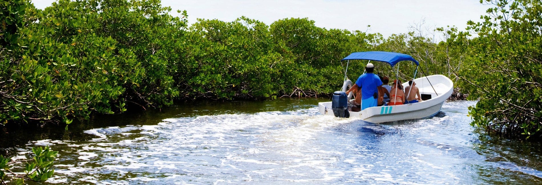 Beautiful Sian Ka-an Wetlands in Tulum