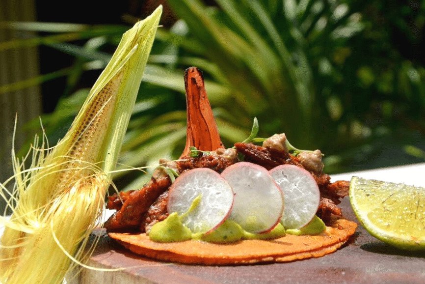 Seasonal 5 course tasting menu at Milpa, restaurant in Holbox