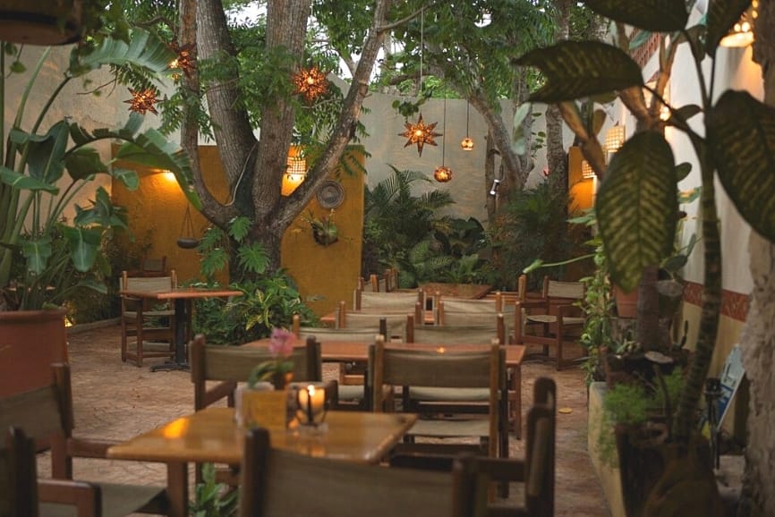 Cozumel Restaurant Guide