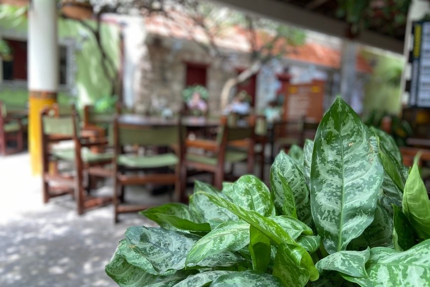 One of the best restaurants in Cozumel in our Cozumel restaurant guide