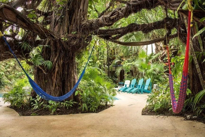 Outdoor hammock space at the Eco-Hotel El Rey del Caribe in Cancun