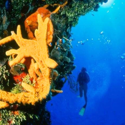 Dramatic wall dive at Santa Rosa showcasing deep blue waters and coral ledges in Cozumel