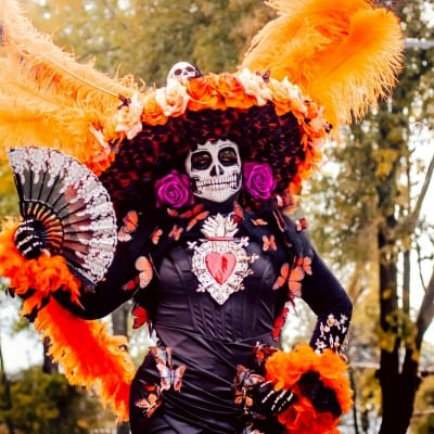 Dia de los Muertos Day of the Dead