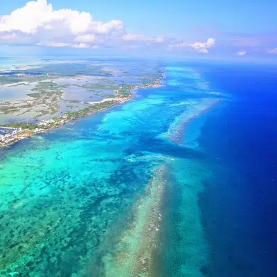 Mesoamerican Barrier Reef | Island Life Mexico Mesoamerican Barrier Reef