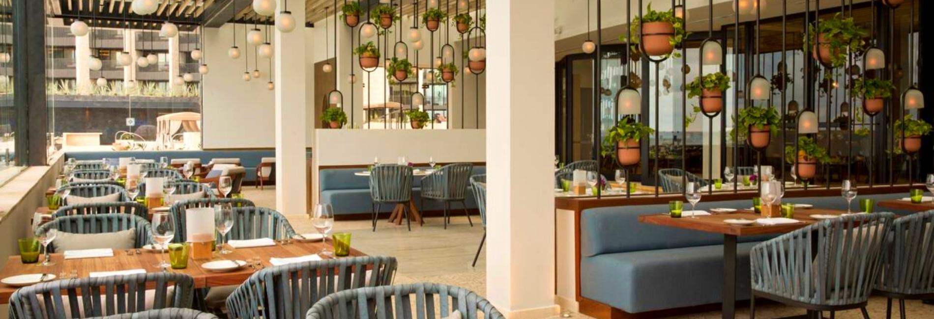 Playa Del Carmen Restaurant Guide: The Best Restaurants In Playa Del Carmen Playa Del Carmen Restaurant Guide: The Best Restaurants In Playa Del Carmen