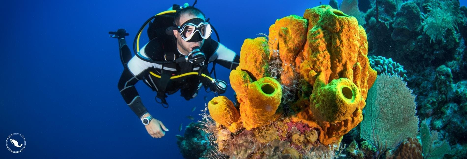 Suba diving in Puerto Morelos