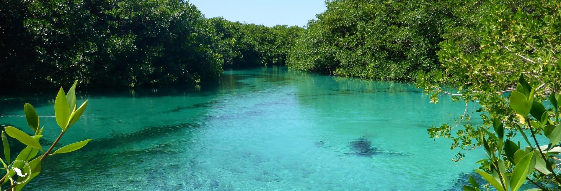 Swim in a cenote along the Ruta de Los Cenotes in Puerto Morelos