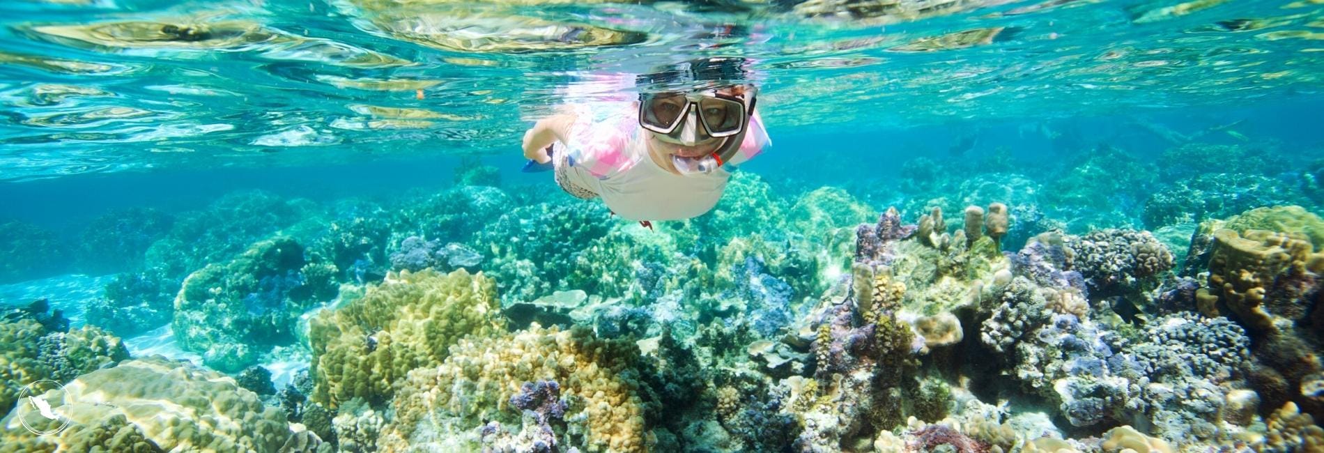 Snorkel the Mesoamerican Barrier Reef in Puerto Morelos