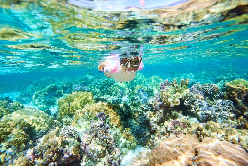 Snorkel the Mesoamerican Barrier Reef in Puerto Morelos