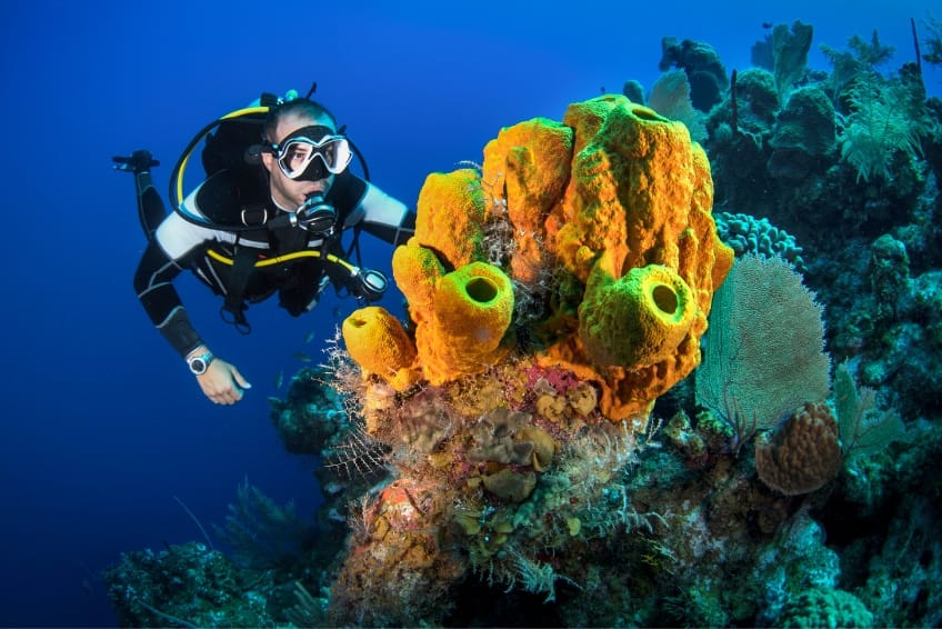 Suba diving in Puerto Morelos
