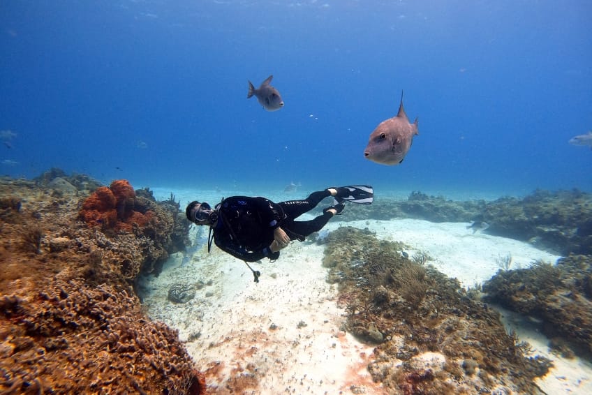 Scuba diving in Cozumel