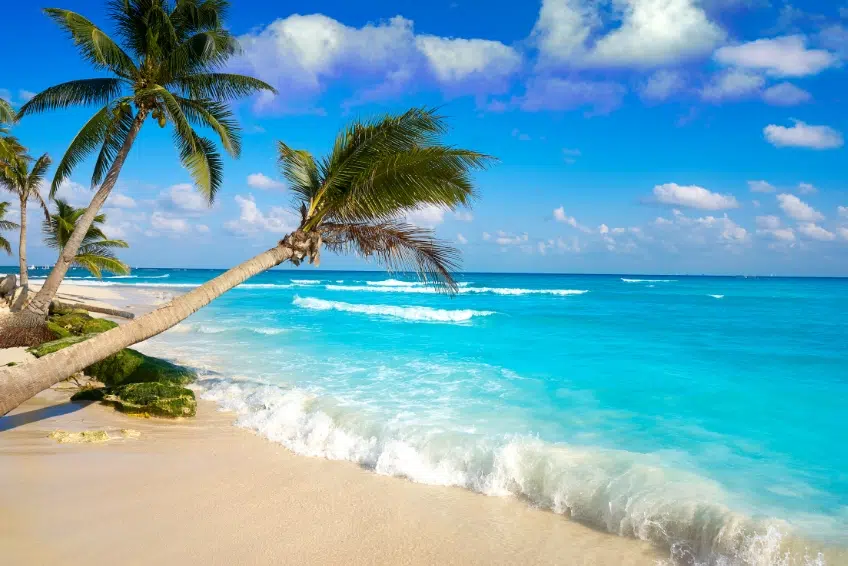 5 Best Playa Del Carmen Beaches in 2024 Island Life Mexico