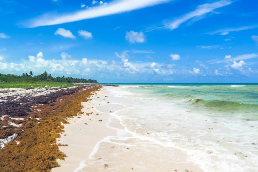Beach at Sian Ka'an Nature Biosphere Reserve in Riviera Maya Mexico