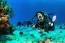Scuba diver exploring vibrant coral reef in Cozumel, Mexico with tropical fish