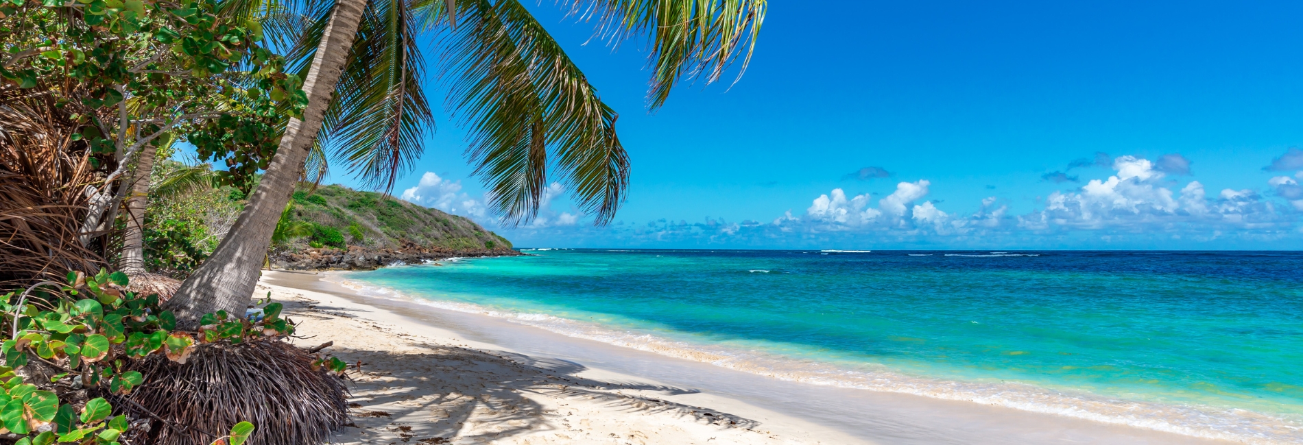 White sands and turquoise water beach in Cancun