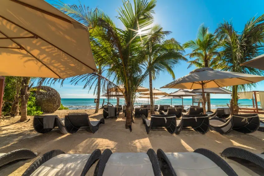 Playa Del Carmen Travel Guide: The Best Things To Do In Playa Del Carmen