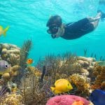 Cancun Snorkeling & Diving Guide