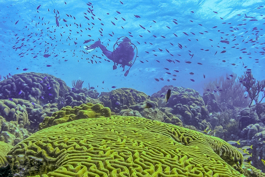 Cancun Diving