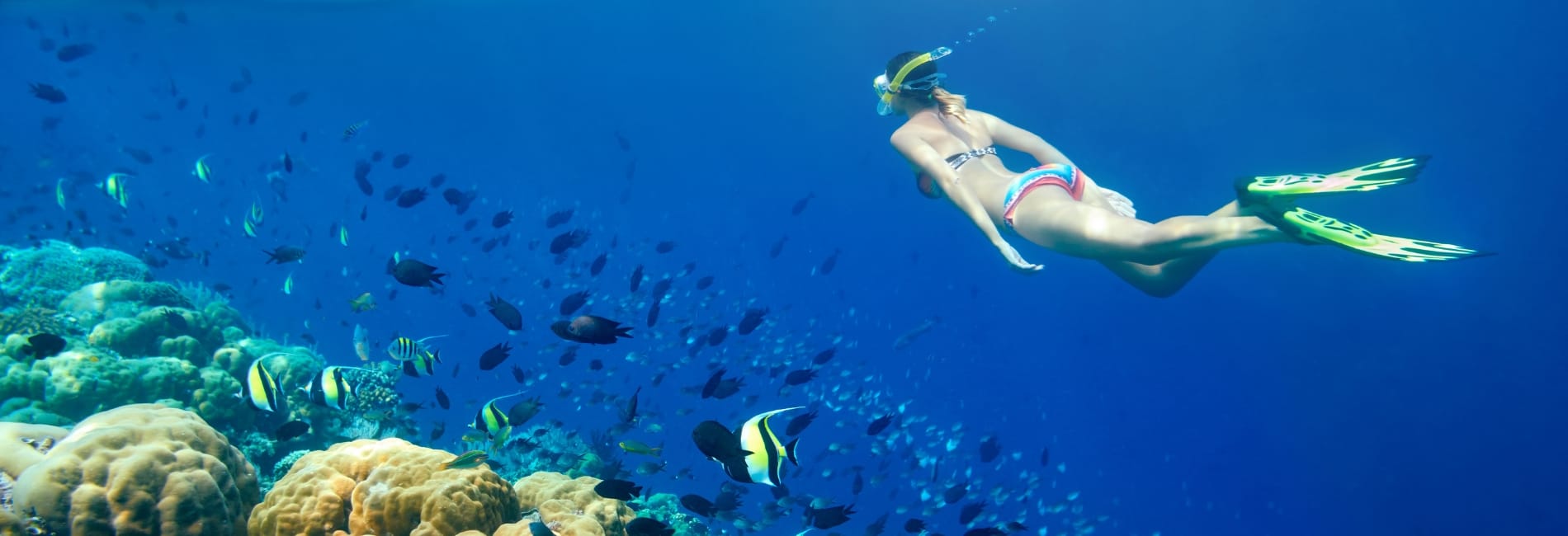 Snorkeling in Cancun, Mexico