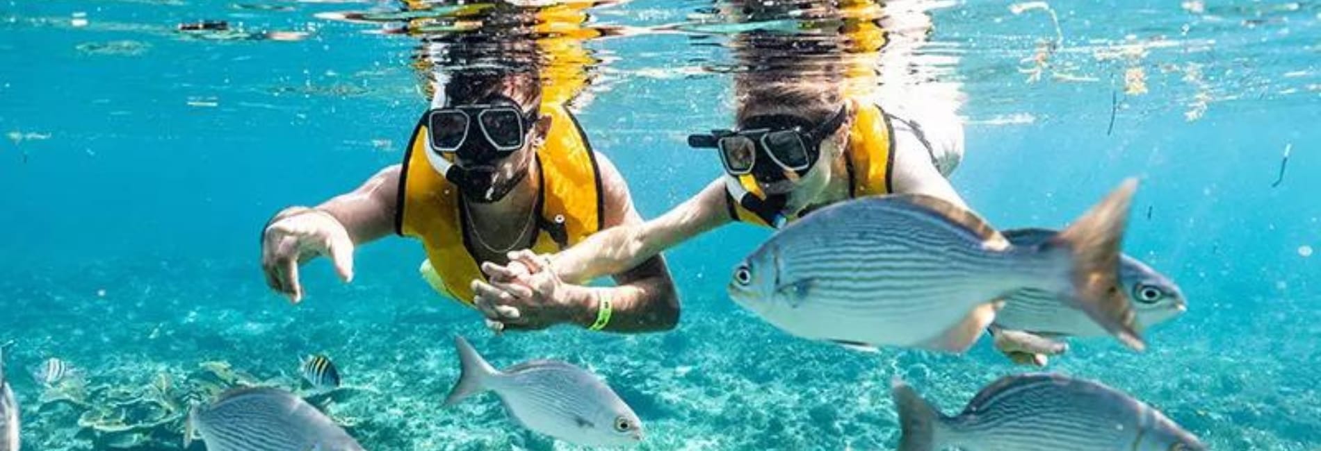 Snorkeling in Cancun, Mexico