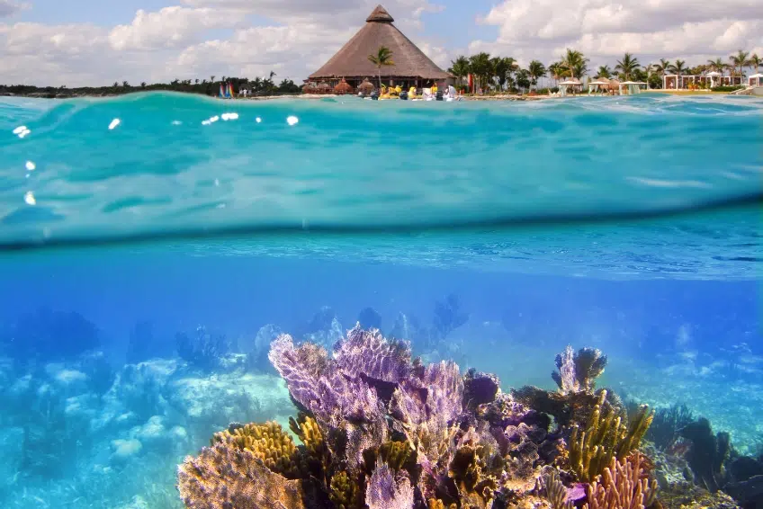 Snorkeling in Cancun, Mexico