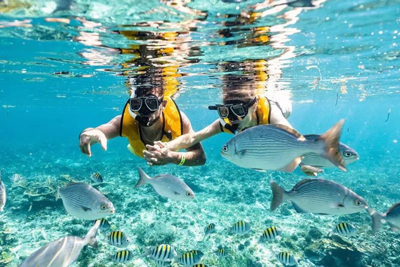Snorkeling in Cancun, Mexico