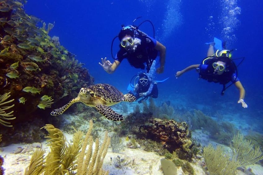 Certified Divers Tour in Cancun, Mexico