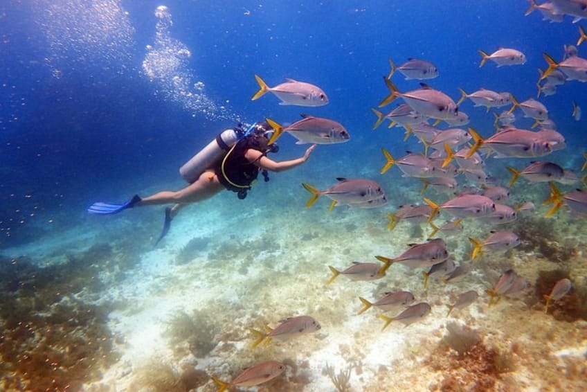 Certified Divers Tour in Cancun, Mexico