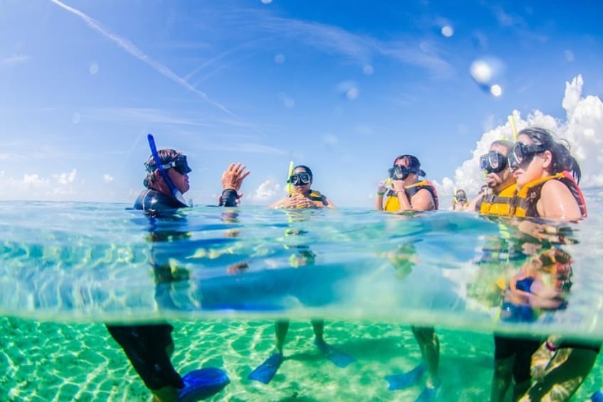 Jungle Adventure Snorkeling Tour in Cancun, Mexico