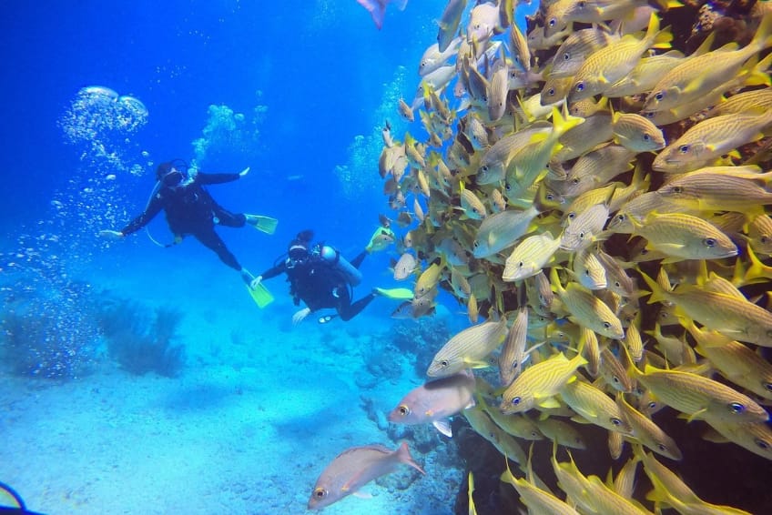 Scuba For Beginners in Cancun, Mexico