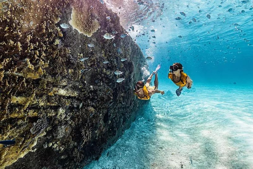 Reef and Shipwreck Snorkeling Tour in Cancun, Mexico