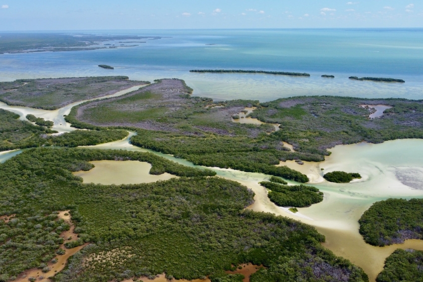The Yum Balam Nature Reserve in Holbox, Mexico