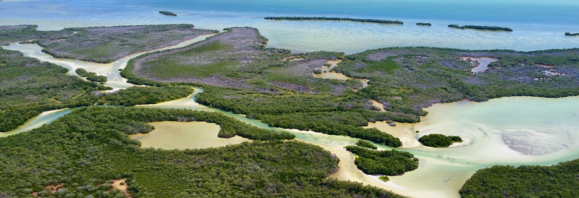 The Yum Balam Nature Reserve in Holbox, Mexico