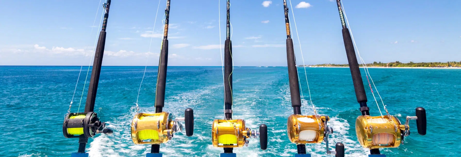 Isla Mujeres Travel Guide: Things to do in Isla Mujeres, Mexico