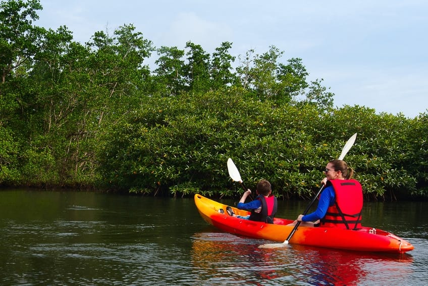 Kayaking the mangroves in Holbox, Mexico