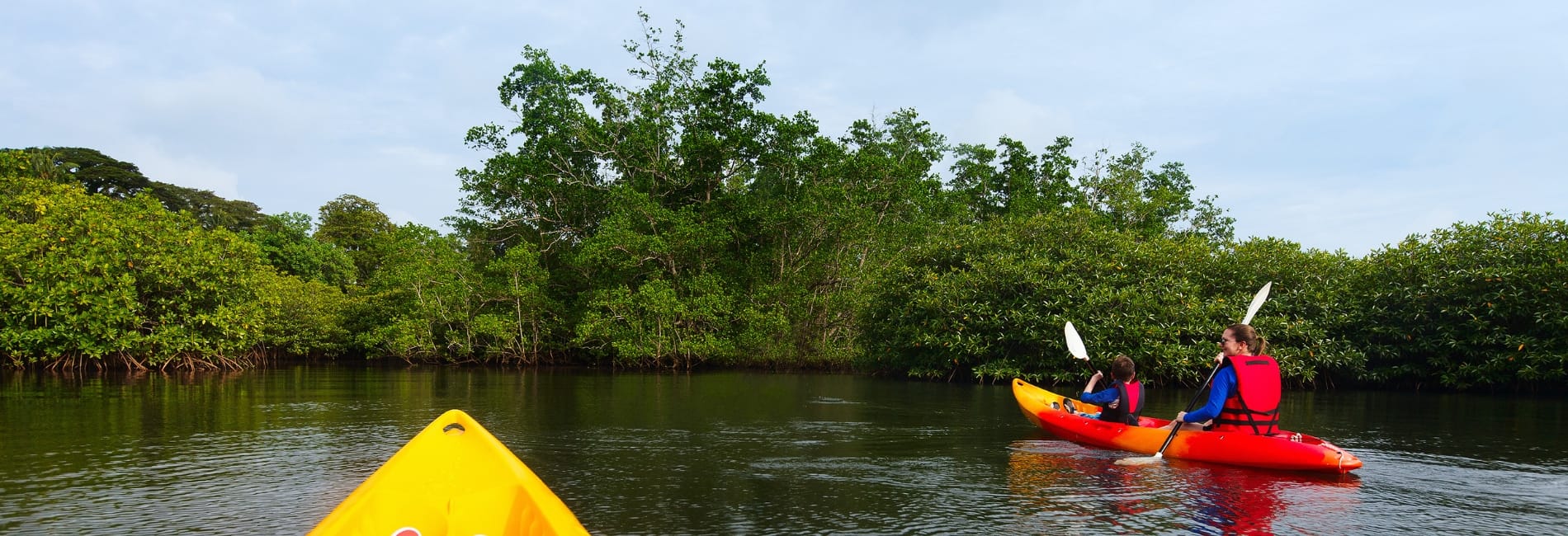 Kayaking the mangroves in Holbox, Mexico