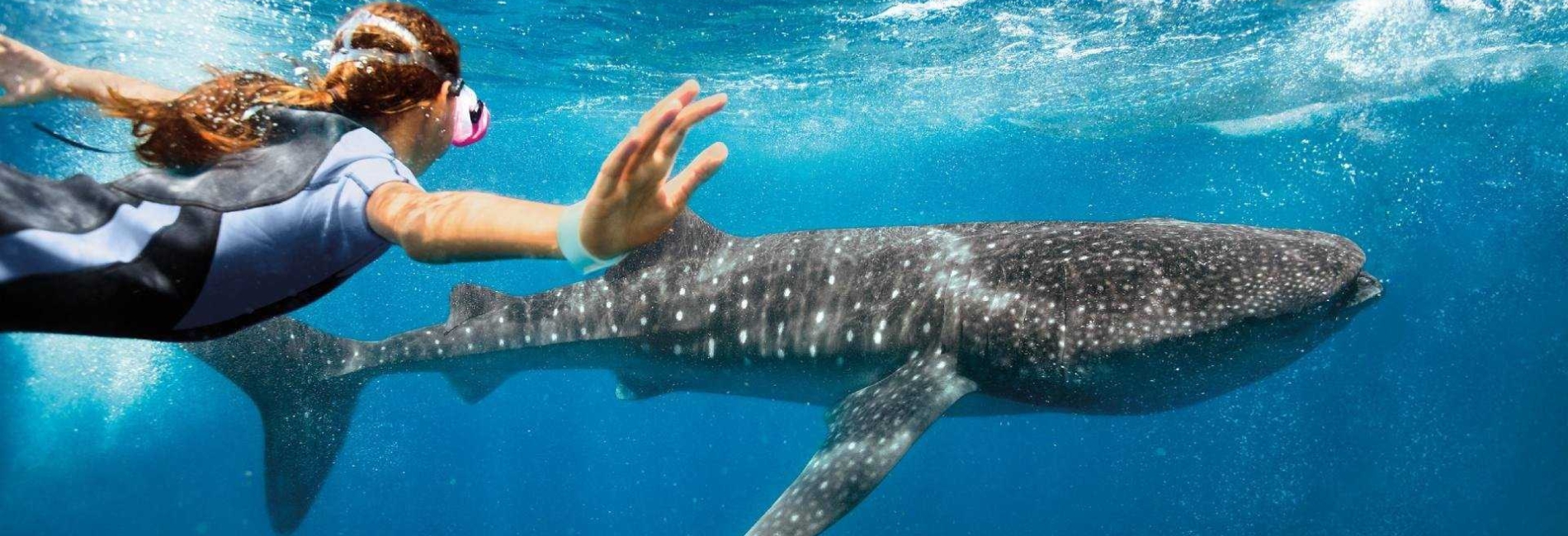 Isla Mujeres Travel Guide: Things to do in Isla Mujeres, Mexico