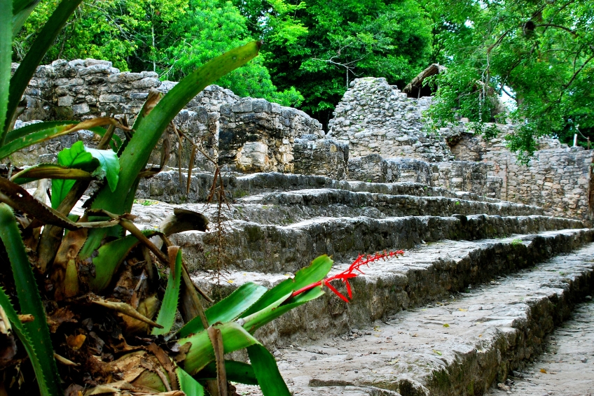 The Coba Ruins In Akumal, Mexico