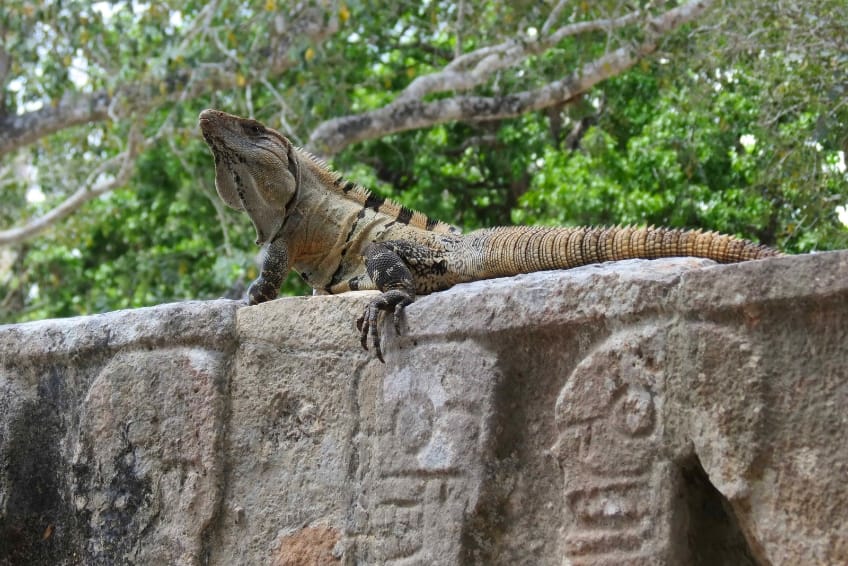 Chechen Itza Guide: Respect The Archeological Site
