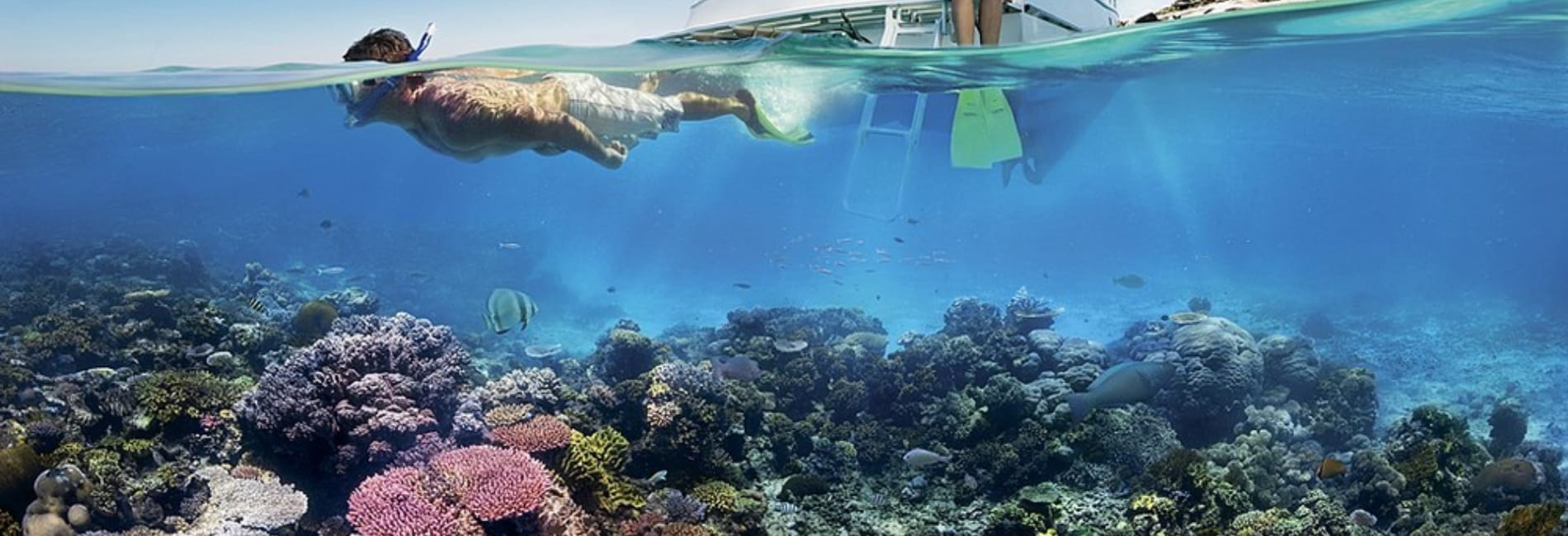 The Best Time To Visit Cozumel - January