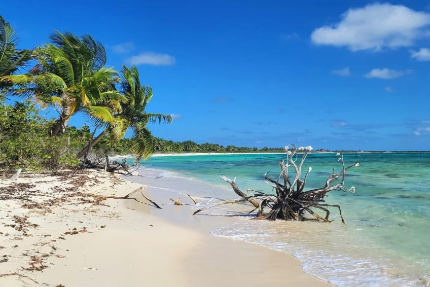 The Best Time To Visit Cozumel - February