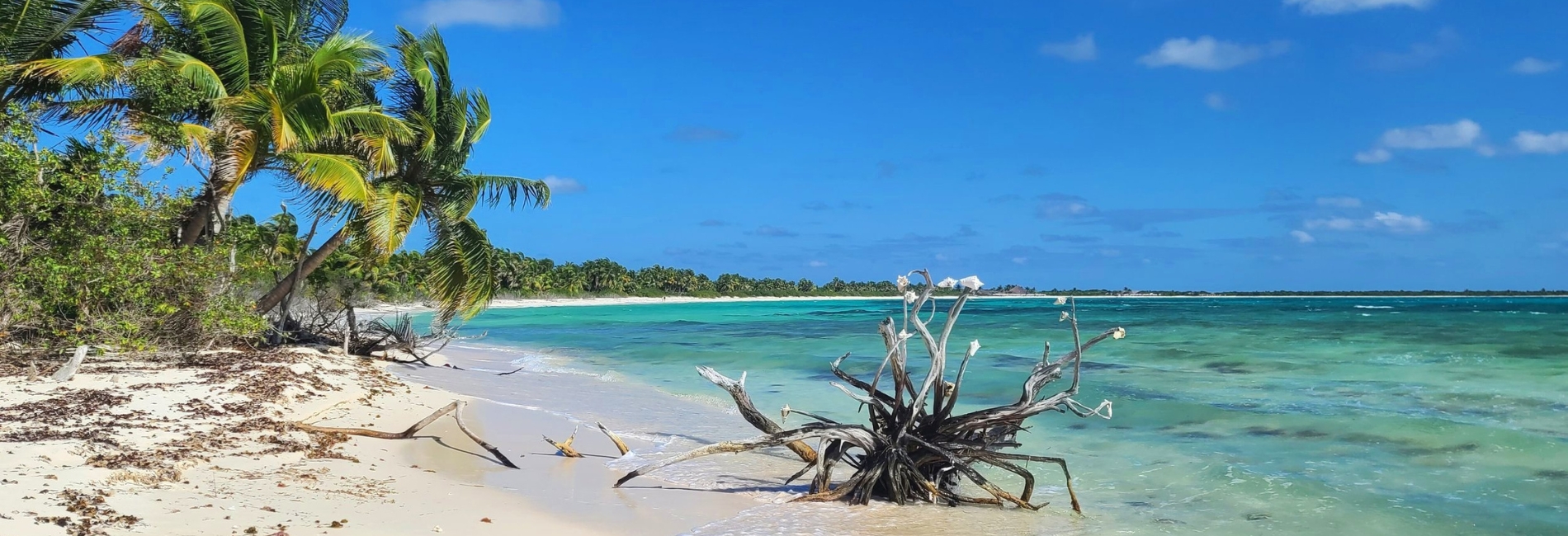 The Best Time To Visit Cozumel - February