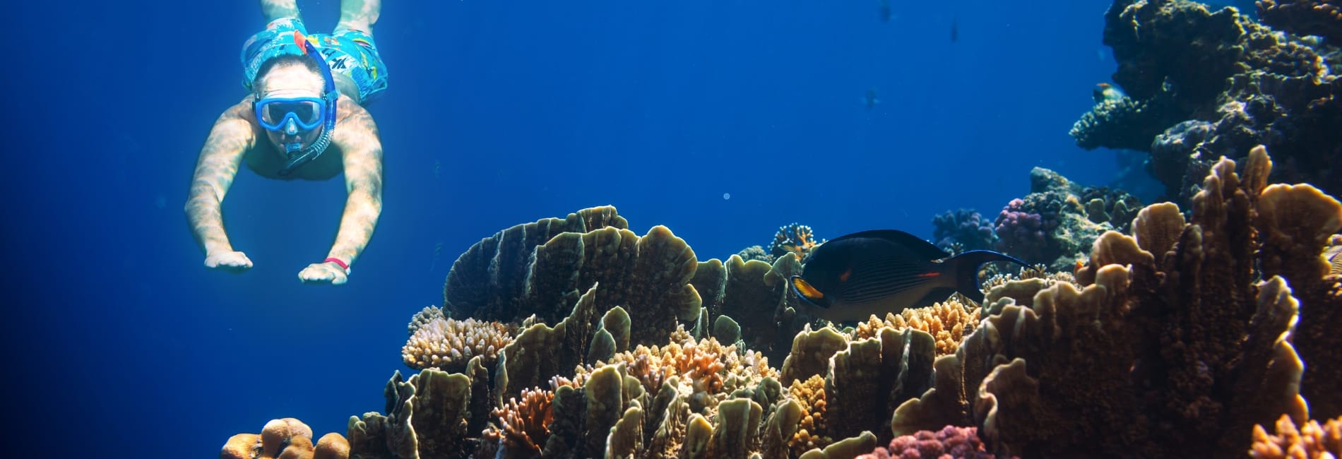 The Best Time To Visit Cozumel - October