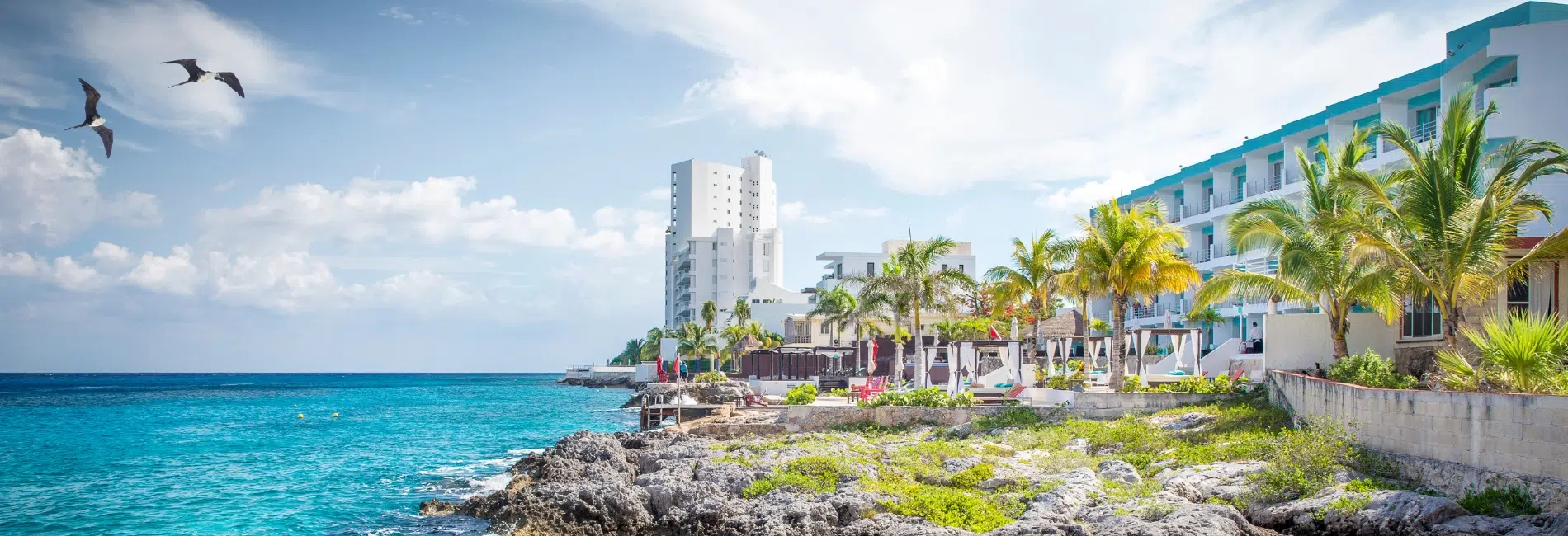 The Best Time To Visit Cozumel 2026 | Island Life Mexico